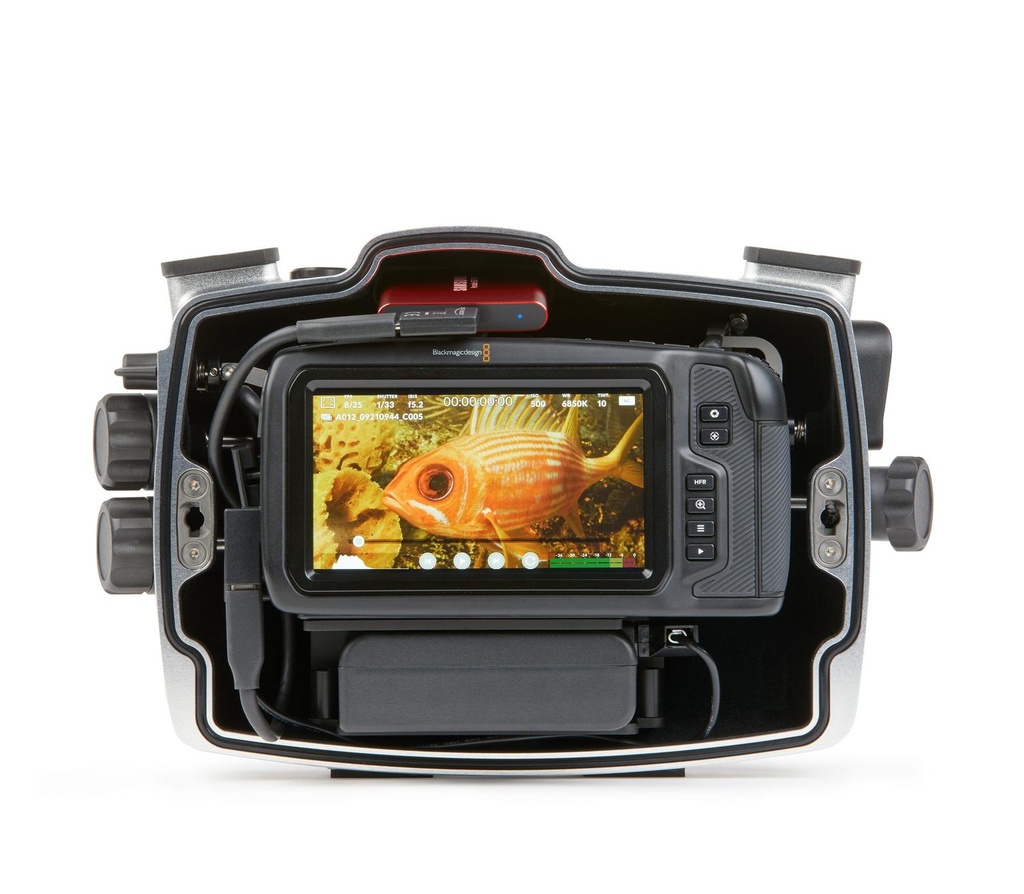 seacam-gehaeuse-blackmagic-pocket-4k-6k-innen-mit-kamera.jpg