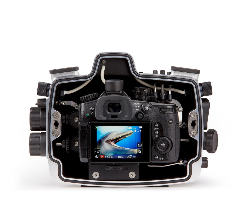 seacam-gehaeuse-panasonic-gh5-gh5ii-innen-mit-kamera.jpg