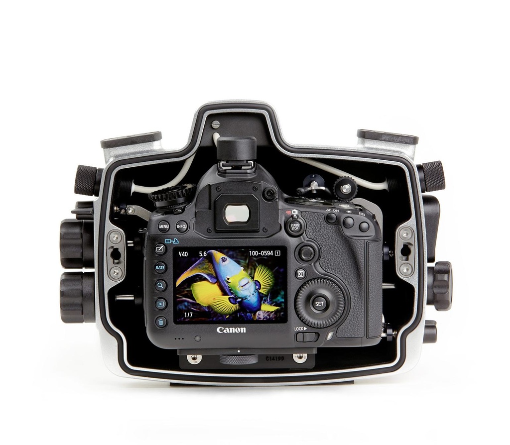 seacam-gehaeuse-canon-5dmkiv-innen-mit-kamera.jpg