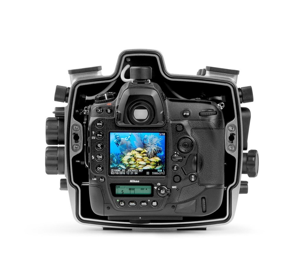 seacam-gehaeuse-nikon-d5d6-innen-mit-kamera.jpg