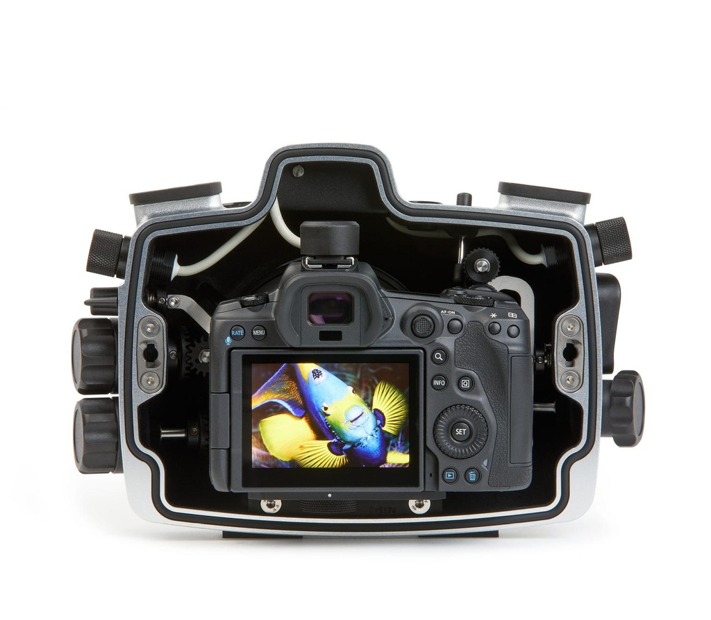 seacam-gehaeuse-canon-r5-innen-mit-kamera.jpg