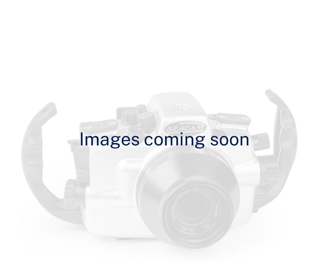 SEACAM compact SONY  A7 IV