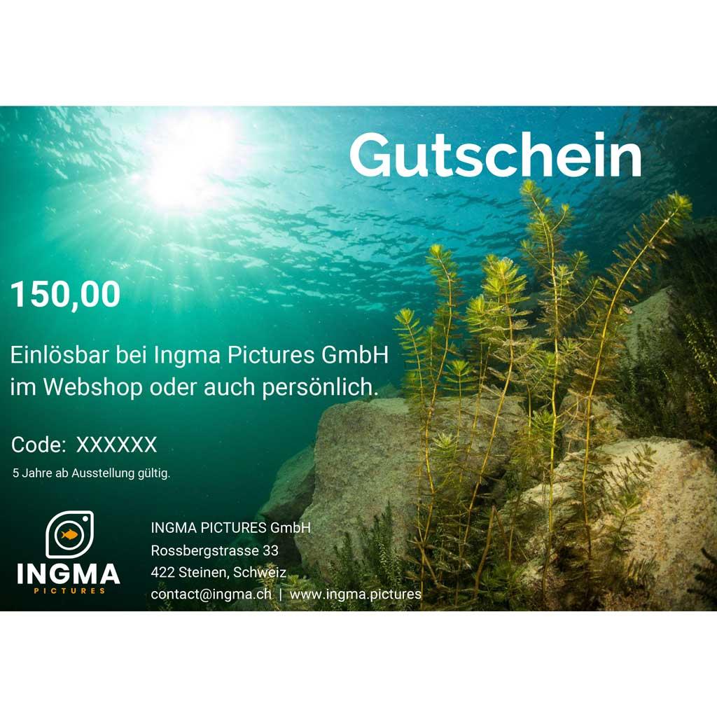 Ingma Pictures Gutschein - Seelandschaft (150)