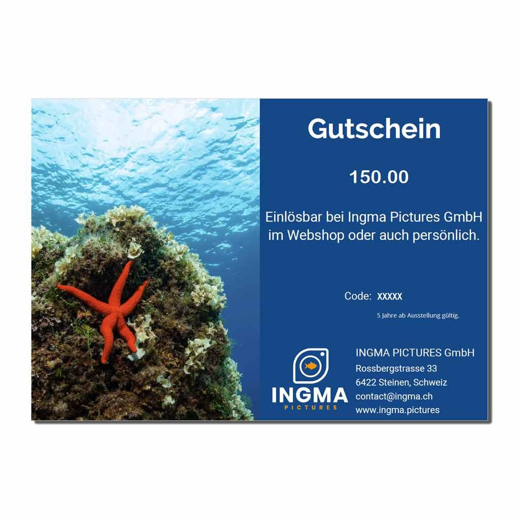 Ingma Pictures Geschenkgutschein - Seestern (150)